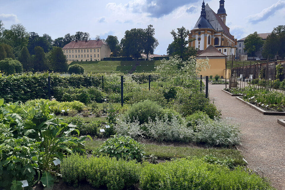 PZNU Team besucht Klostergarten Neuzelle